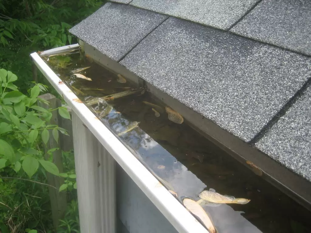 Services Gutter Maintenance 2