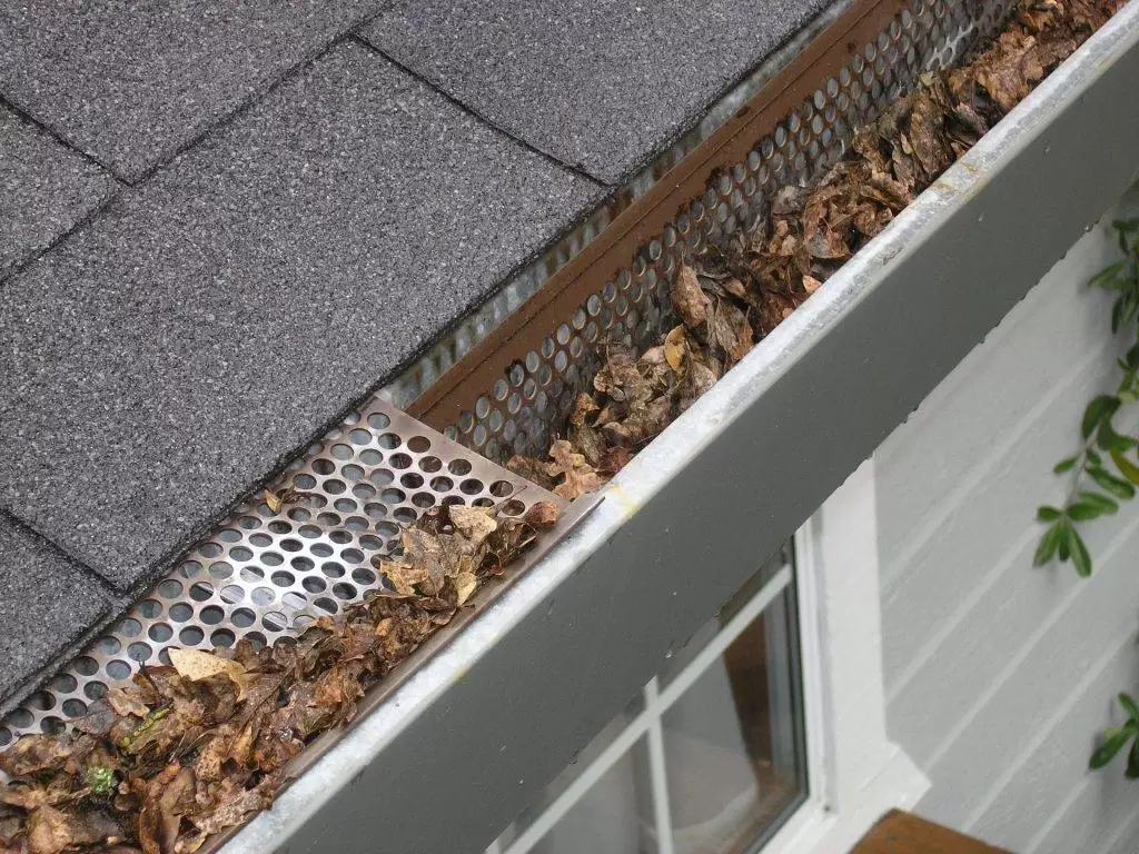 Services Gutter Maintenance